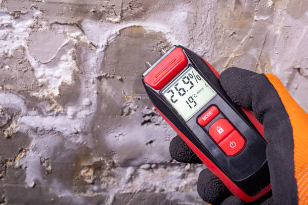 Home Mold Removal in New Albany, MS