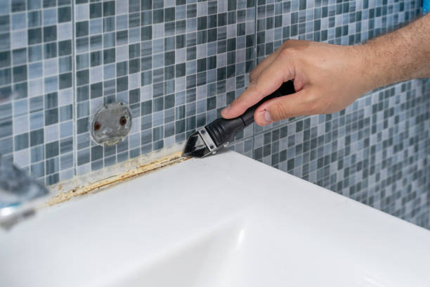Best Home Mold Removal  in New Albany, MS